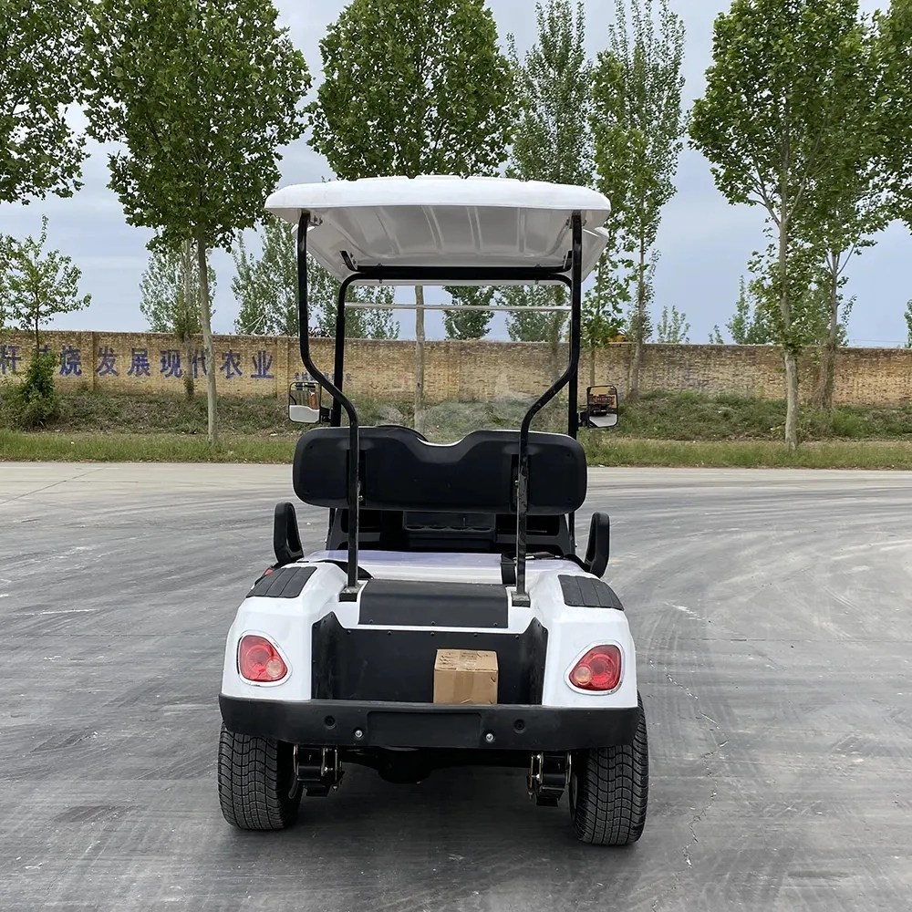 Cheap Price Low Speec 2 Seats Golf Cart Electric Utility Vehicle From China Factory