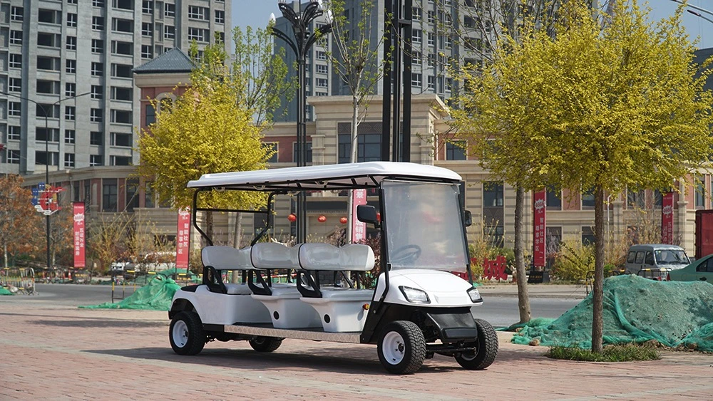 China Street Legal Golf Cart 6 Seats Custom Electric Golf Cars Hunting Golf Buggy Low Price for Sale