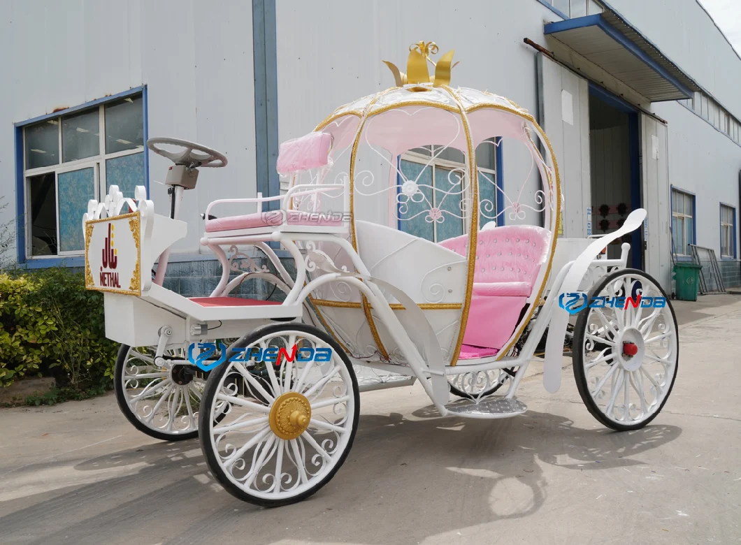 Hot Sale Decorative Cinderella Wedding Carriage Sightseeing Horse Cart