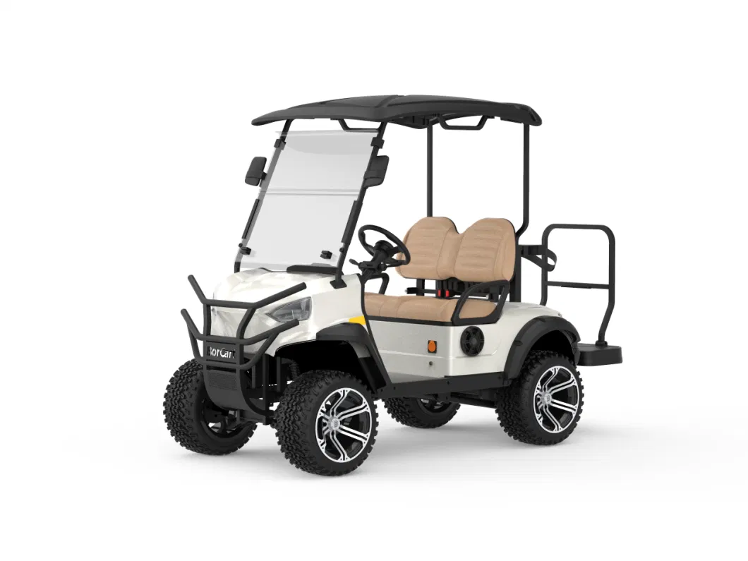 Electric Safety Personal Cart 2seats Hunting Model Colourful Golf Cart
