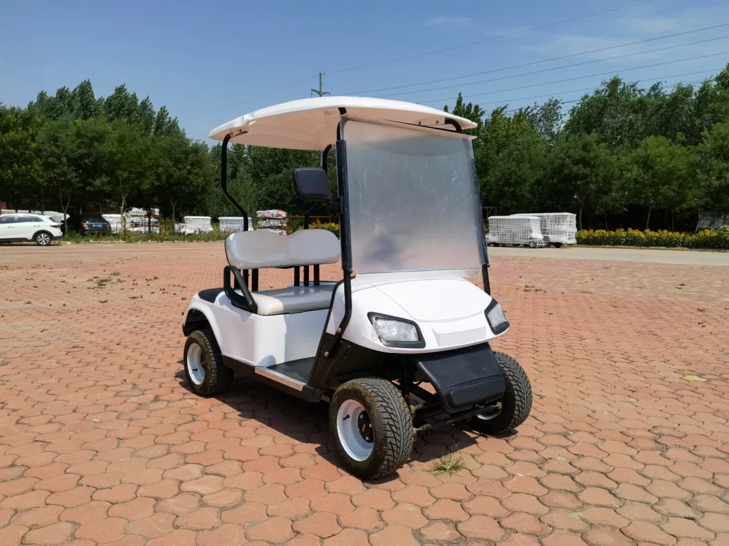 Made in China Golf Electric Sightseeing Vehicle, Single Row, Two Seats