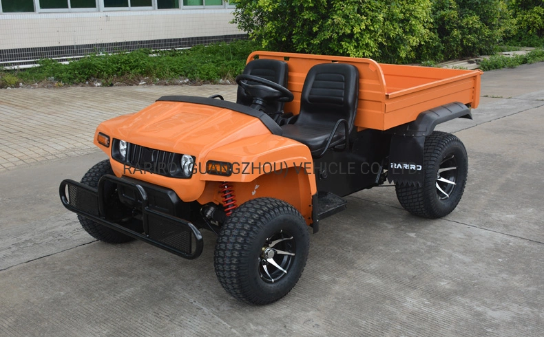 2 Seats Electric Hunting Utility Mini Utility Vehicle