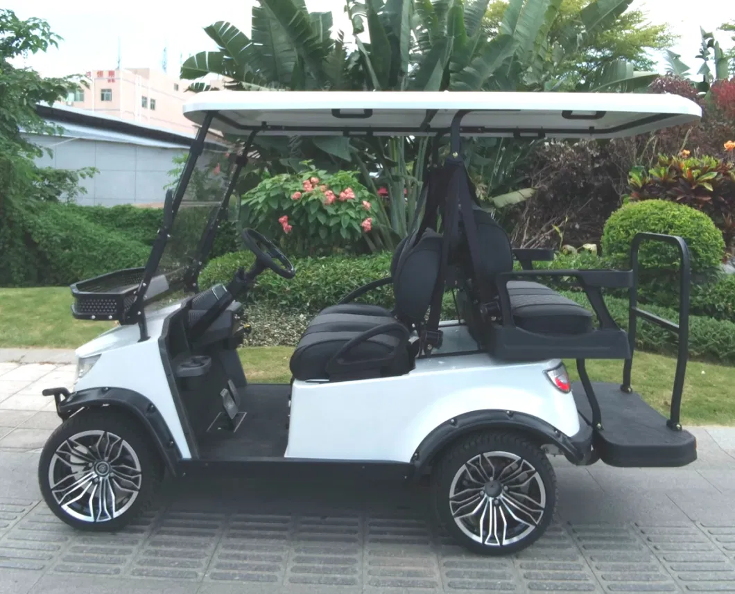 China Supplier Golf Cart Custom 2 4 6 Seater Mobility Scooter Golf Car Utility Vehicles