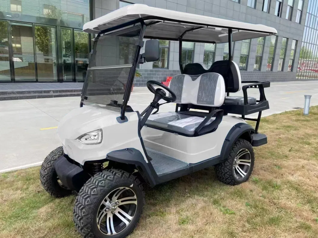 Nice Discount Golf Cart From Direct Factory with Strong Power and Lithium Battery