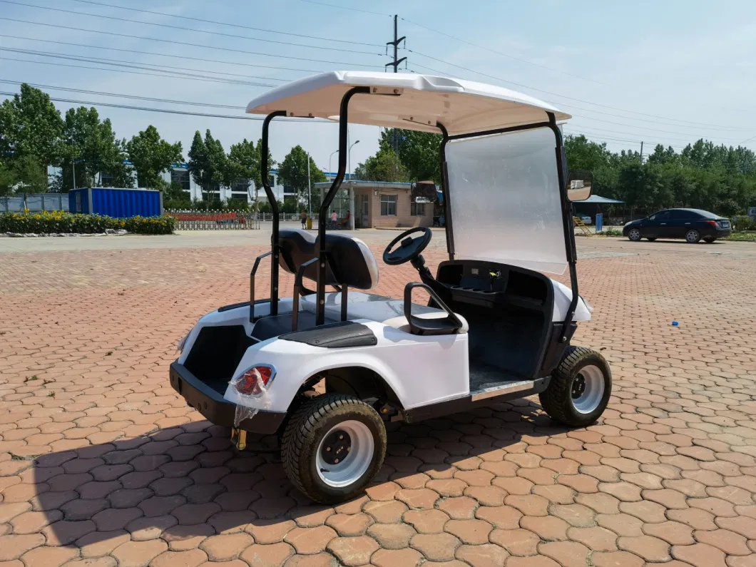 Made in China Golf Electric Sightseeing Vehicle, Single Row, Two Seats