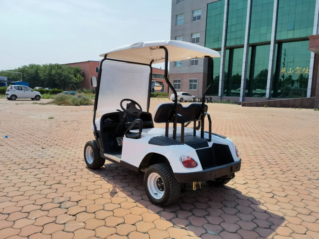 Made in China Golf Electric Sightseeing Vehicle, Single Row, Two Seats