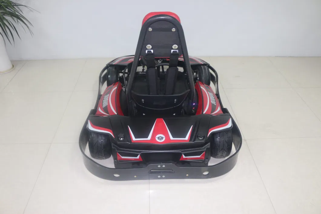 Cool Adult Karting 3000W Hub Motor Go Cart Electric Race Go Kart