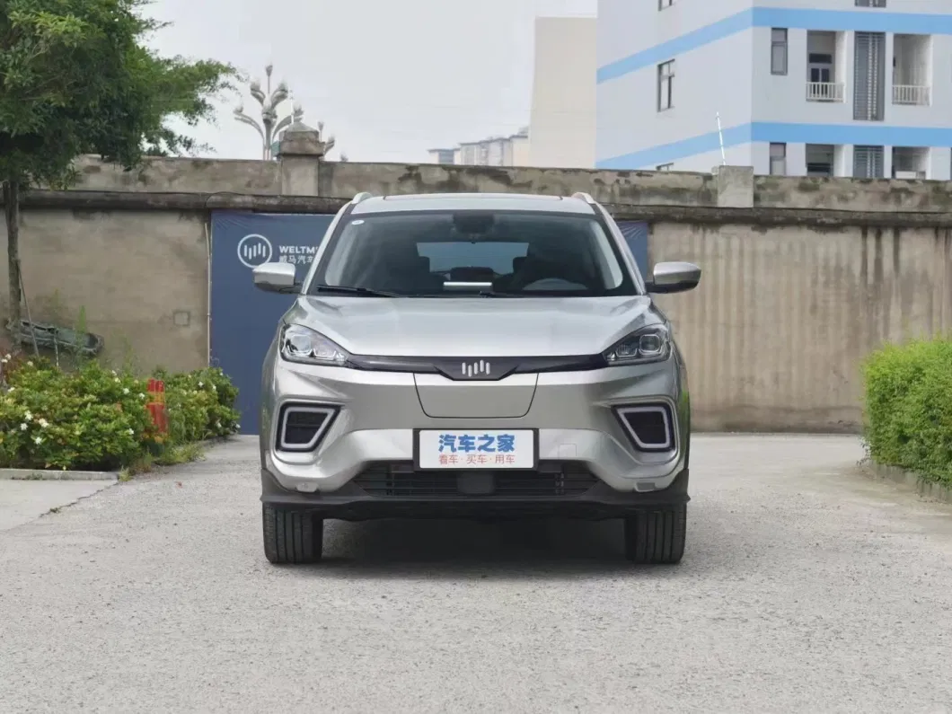 Pure Electric Car China Electric Vehicle Technology for Family Auto Hot Selling