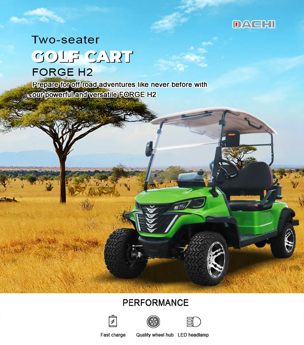 Hunting 2 Seats Forge H2 High-End Quality Golf Cart China Golf Buggy