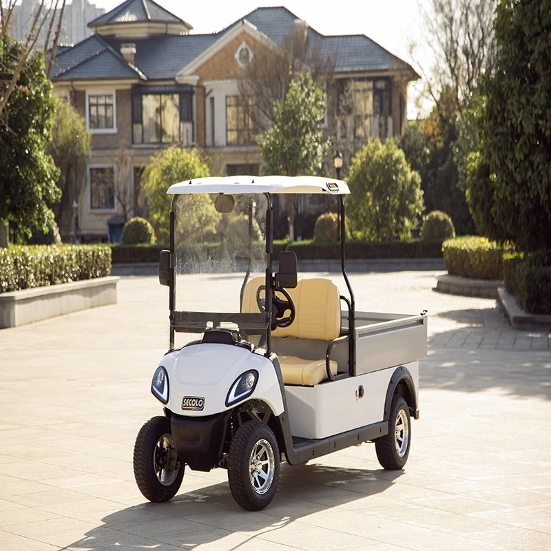 Hio EV 2-Passenger Utility Golf Cart with Aluminium Cargo Box