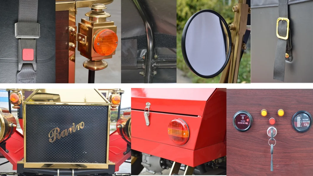 Rariro 9-12 Seats Electric Metal Body Vintage Buggy Cart for Club, Golf Course, Hotel, School