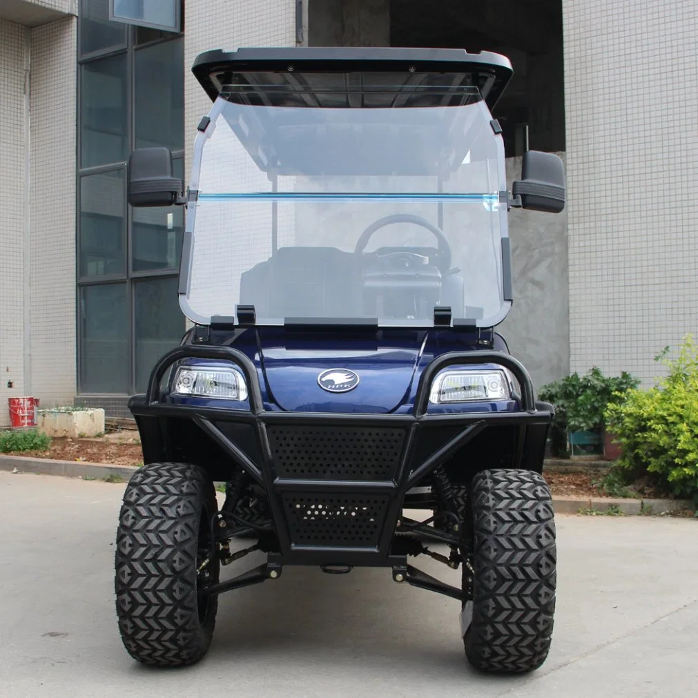 Electric Lifted Car/Cart/Buggy, Sightseeing Car, Utility Vehicle (DEL2042D2Z 4+2-Seater)