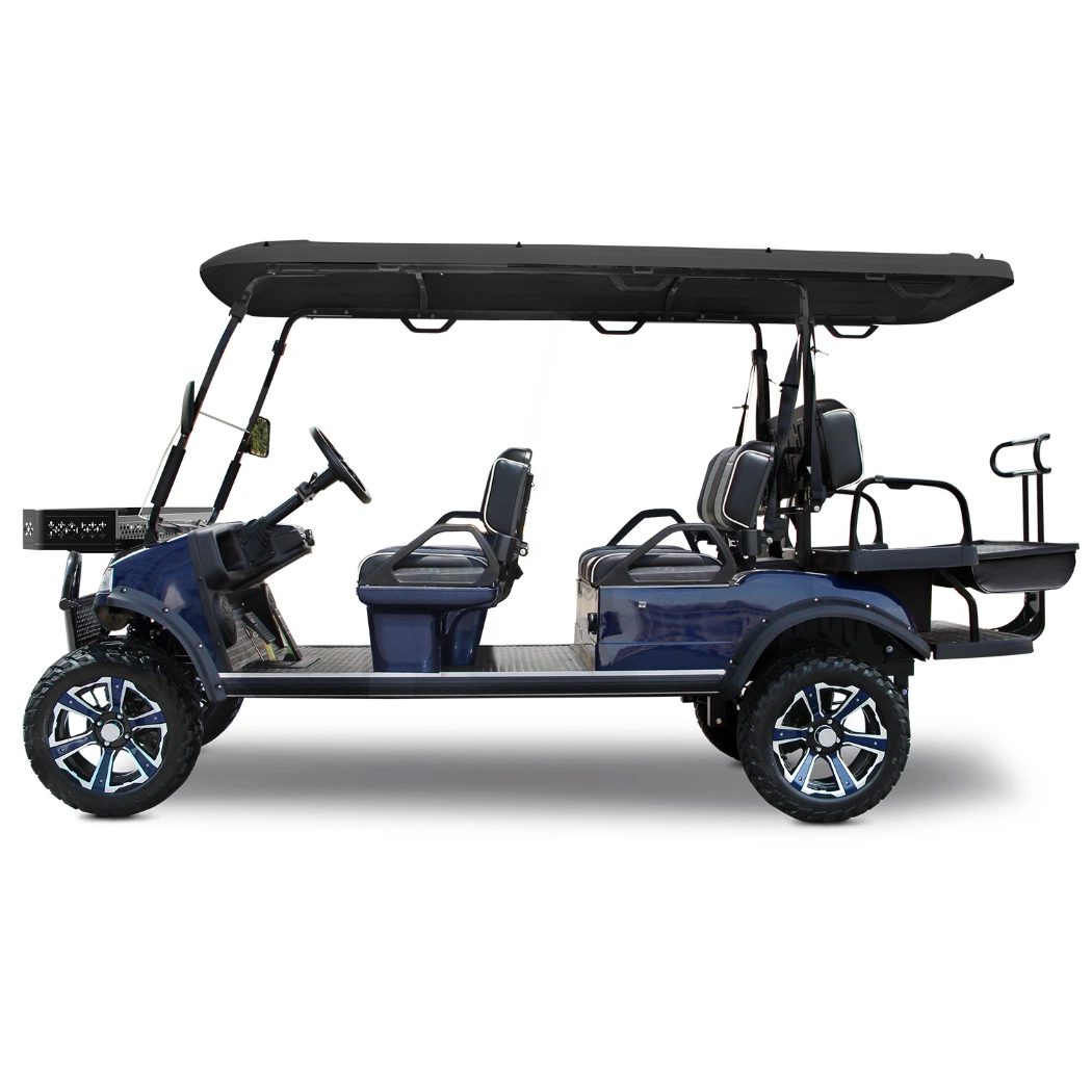 Electric Lifted Car/Cart/Buggy, Sightseeing Car, Utility Vehicle (DEL2042D2Z 4+2-Seater)