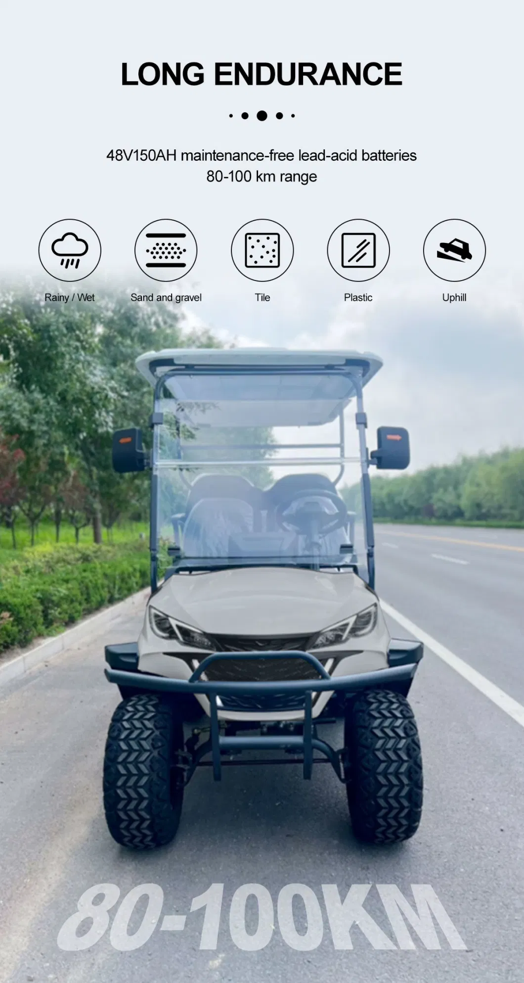 Cheap 2+2 Seater Buggy Golf Course Airport Mobility Scooter 4 Wheel Drive Electric Silver Golf Cart off-Road Vehicle for Sale