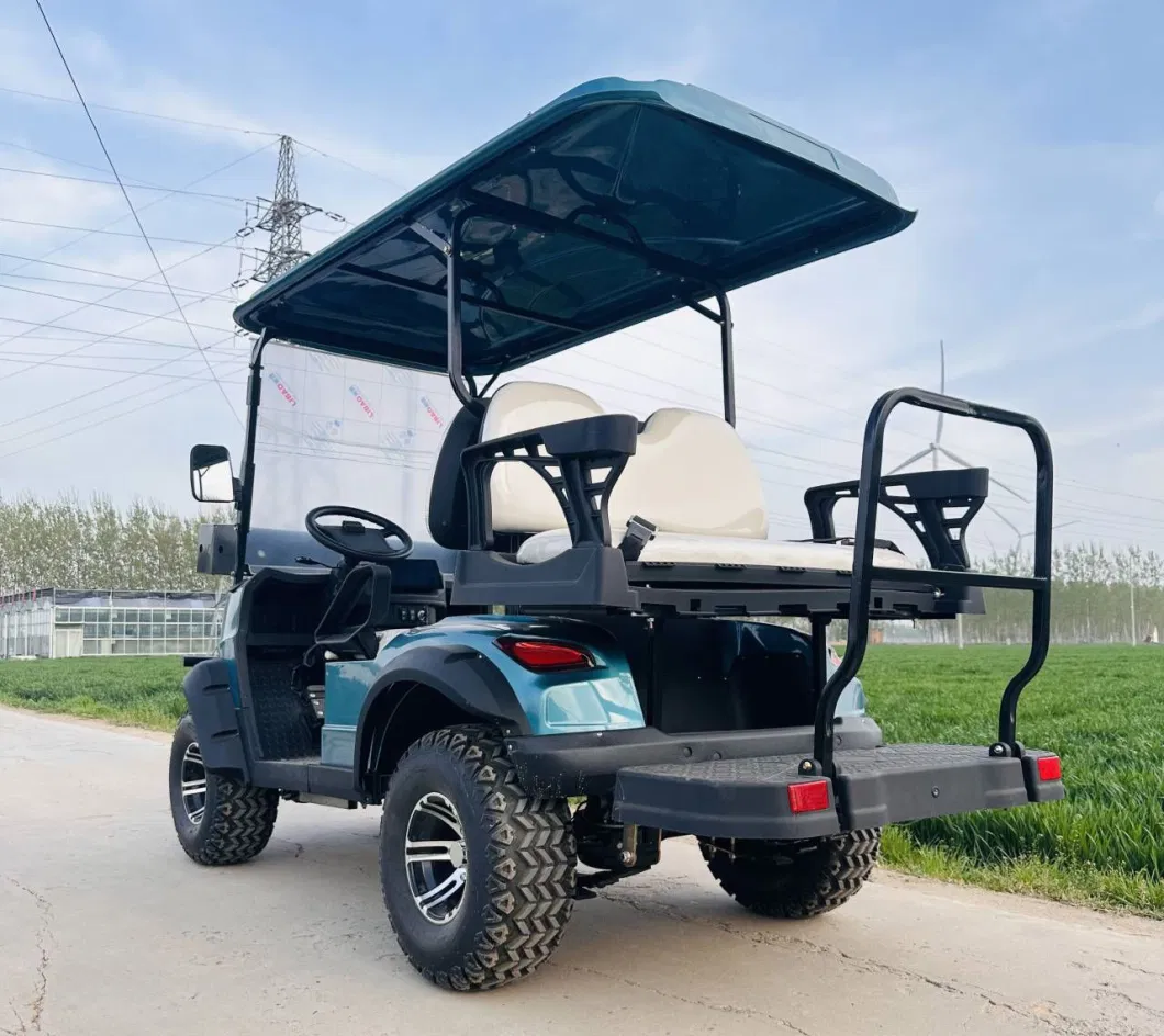 Fancy CE Custom Private Label 4 Seater Golf Gas Cart Cool off-Road Golf Cart