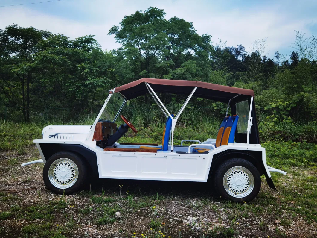 Sightseeing Car Moke Golf Vehicle (72V)