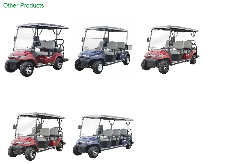 Lvtong New Model 2 Seater Golf Cart with Large Storage Compartments A827.2
