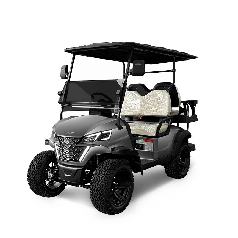 2+2 Electric Golf Cart, Aluminum Alloy Wheels Large Mutilple Color Options