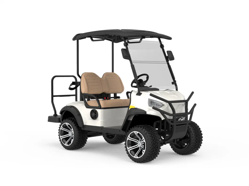 Electric Safety Personal Cart 2seats Hunting Model Colourful Golf Cart