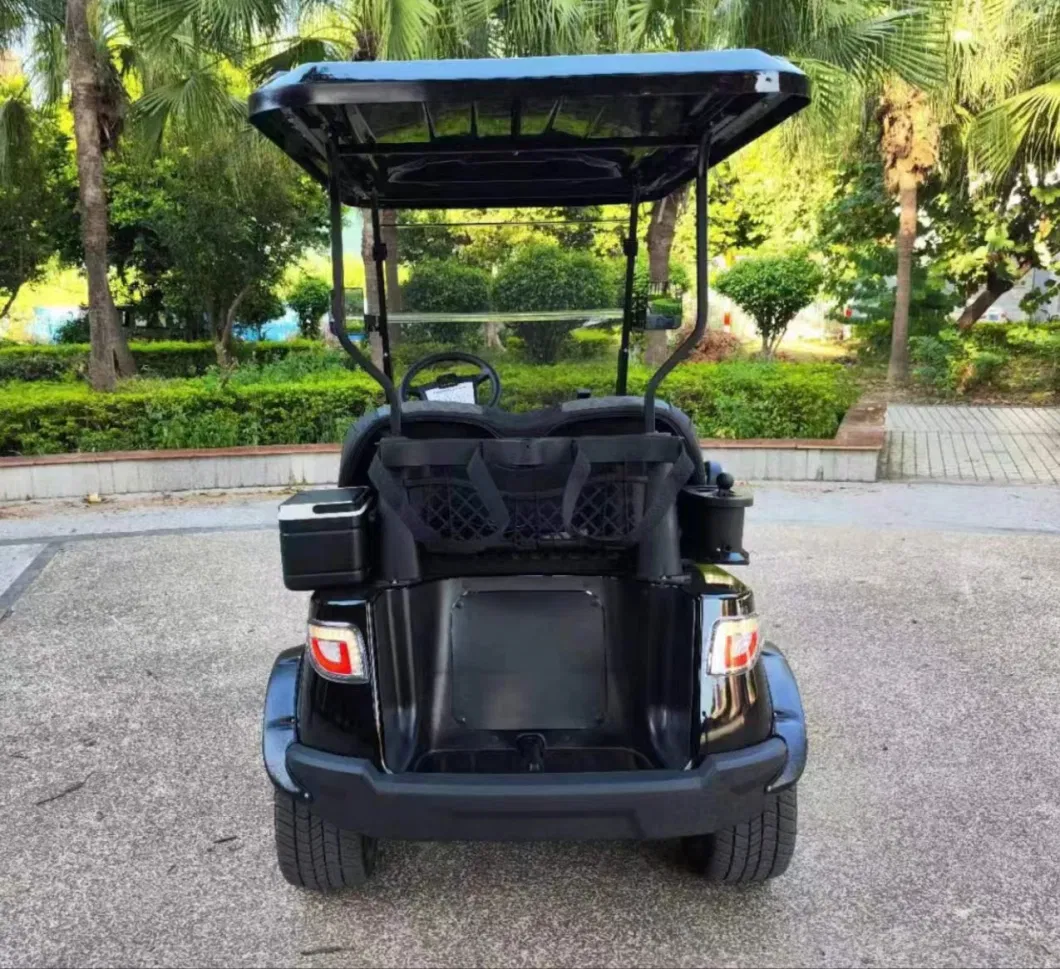 2-Seats Electric Vehicle Lento Brand Appearance Beautiful Golf Cart