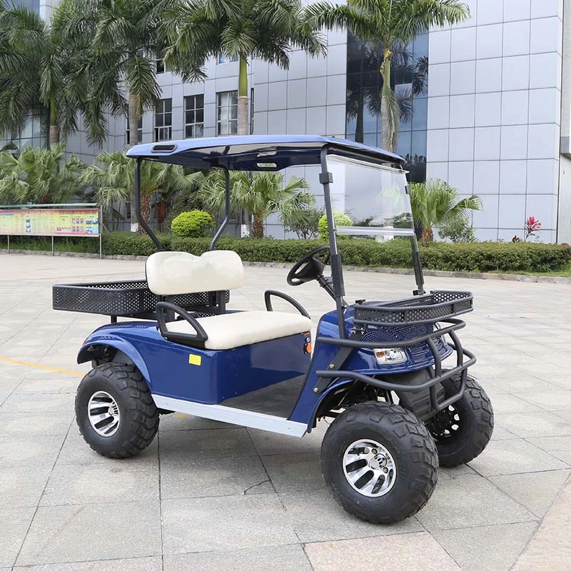 China Manufacturer Marshell Utility Vehicle 2 Seater Electric Golf Buggy (DH-C2)