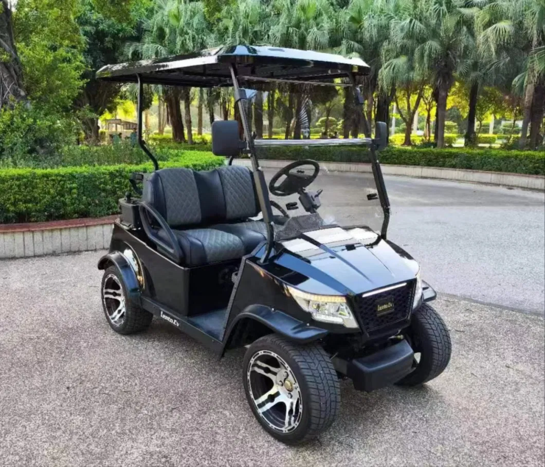 2-Seats Electric Vehicle Lento Brand Appearance Beautiful Golf Cart