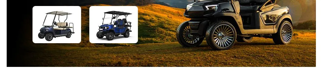 Ulela Aetric Golf Cart Manufacturer Integal Rear Axle Electric 4X4 Hunting Carts China 2 Seater Electric Hunting Golf Carts