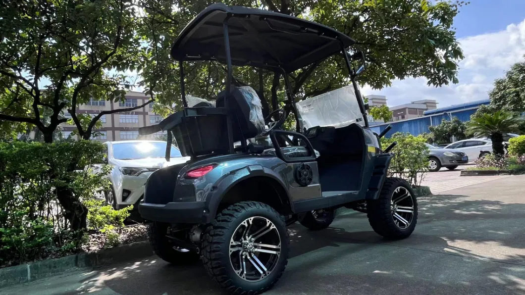 2 Seater Electric Hunting Golf Buggy Carts with Good Price