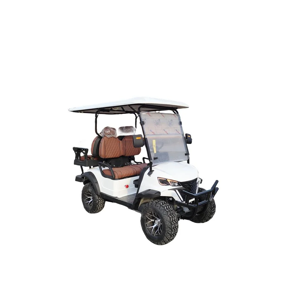 Customized Hunting Wholesaler Best Brand Cheap Electric Golf Carts 2 Seats Golf Cart Golf Buggy