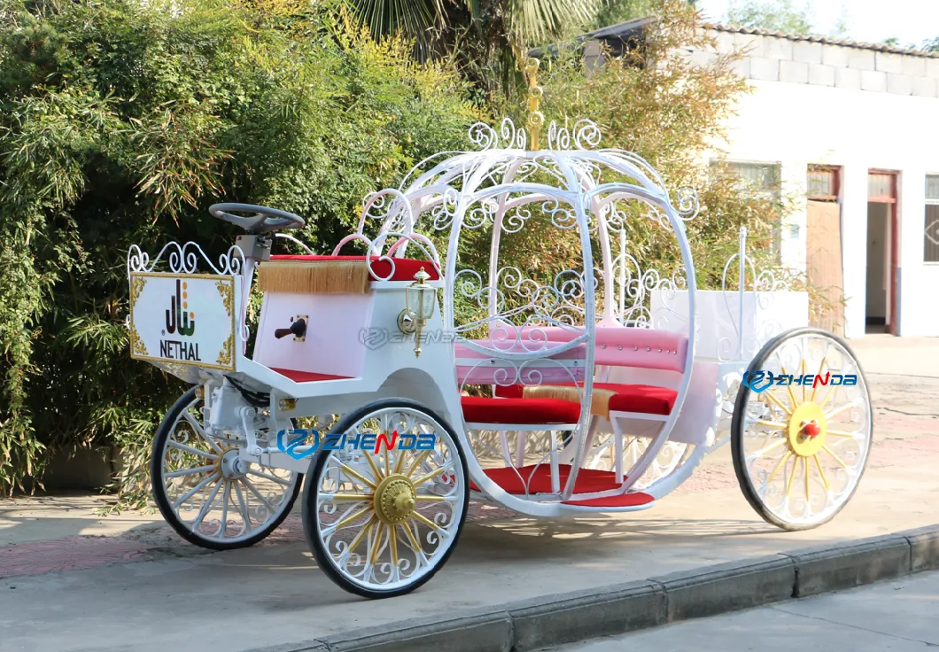 Hot Sale Decorative Cinderella Wedding Carriage Sightseeing Horse Cart