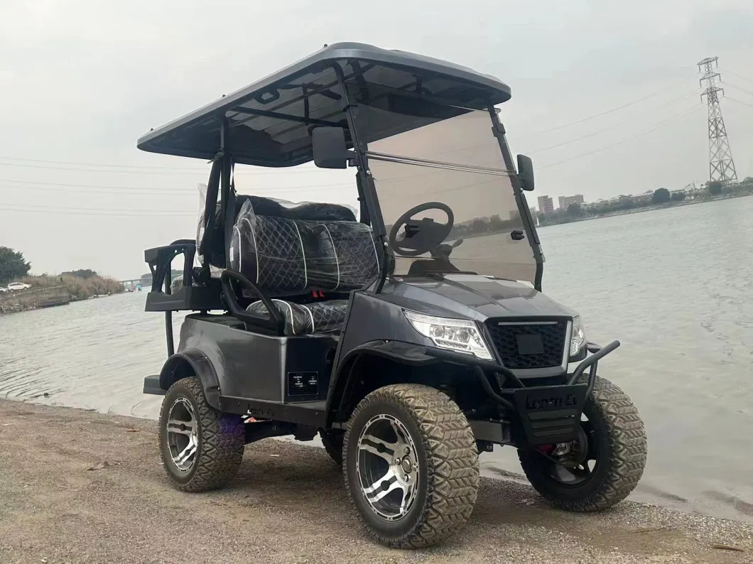 Luxury Full Options Electric Golf Cart Street Legal Hot Sale in USA