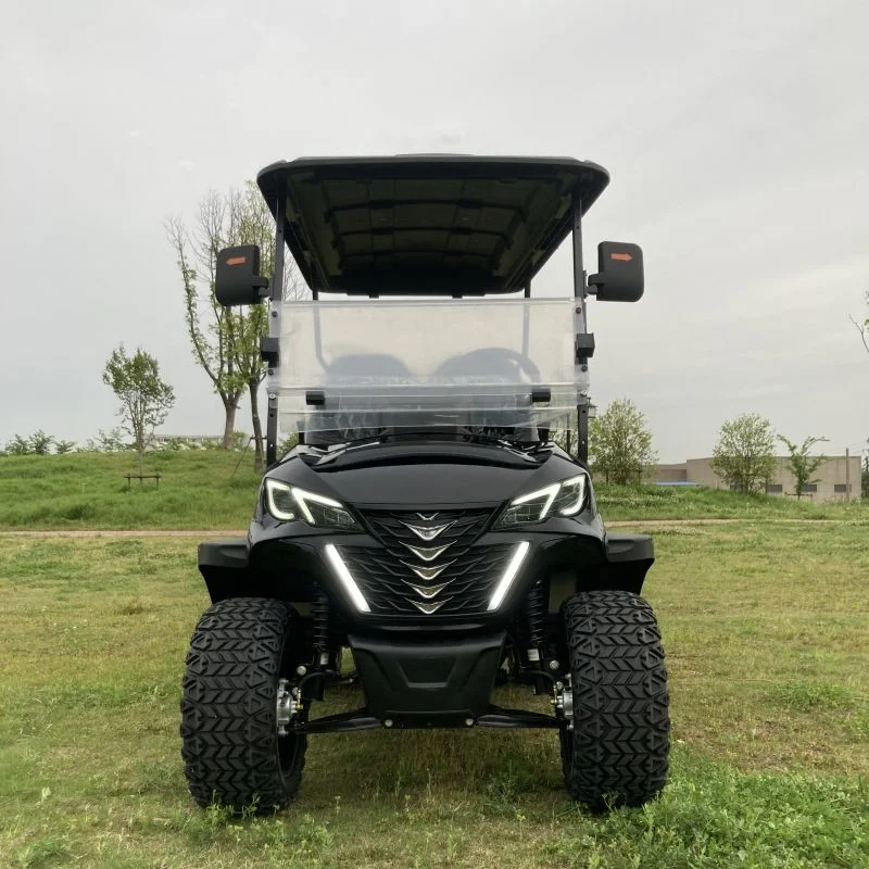 Black 48V Electric Club Carts 2 4 6 8 Seats Golf Carts