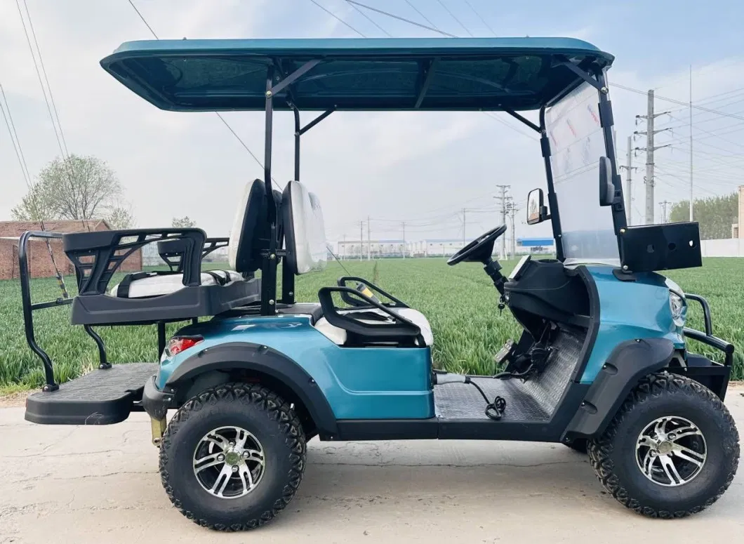 Fancy CE Custom Private Label 4 Seater Golf Gas Cart Cool off-Road Golf Cart