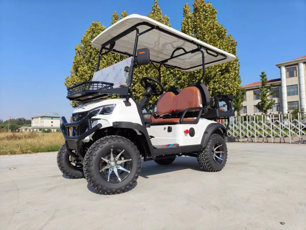 Best New Model Style D for Exclusive Right Electric Golf Buggy Hunting Cart with 2+2 Seater CE DOT