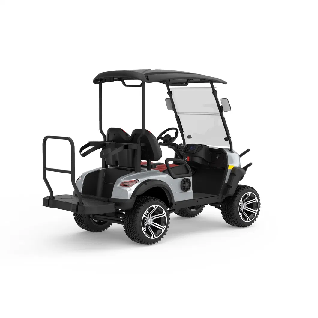 2 Seater Electric Hunting Golf Buggy Carts with Good Price