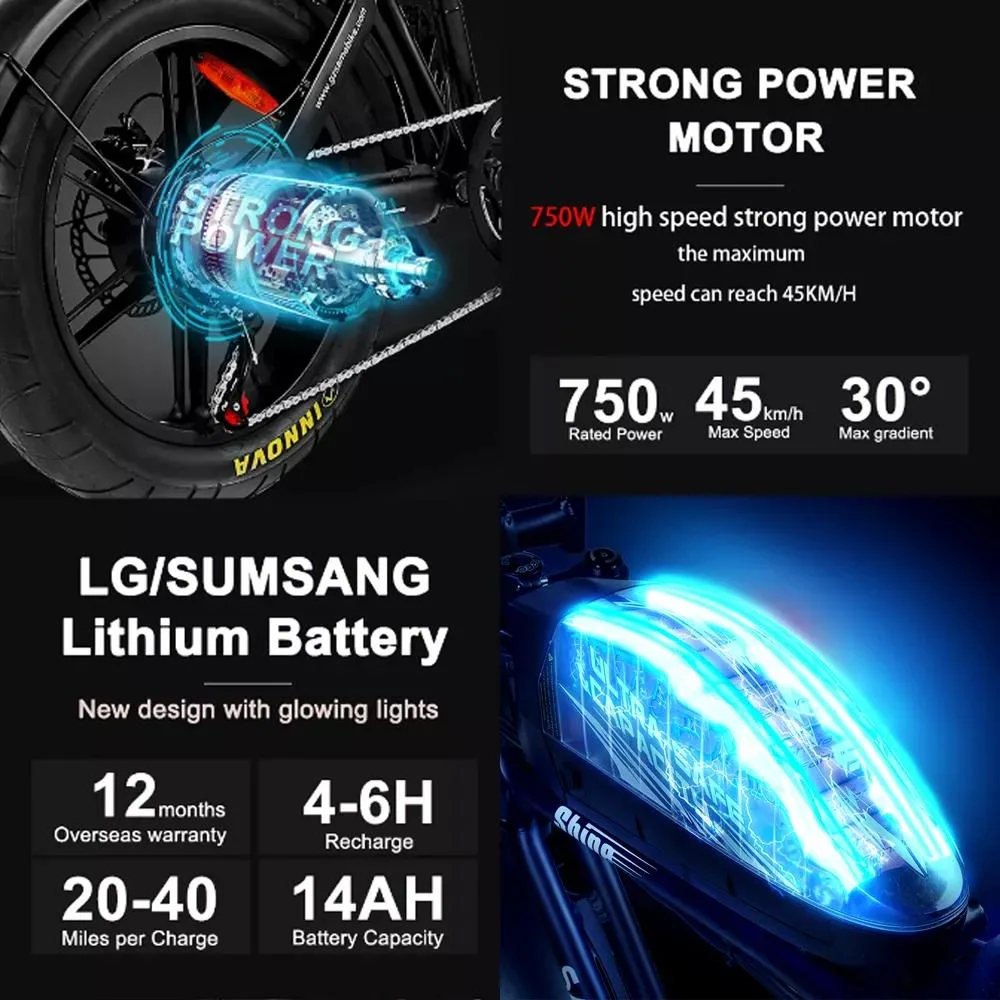 2023 New Wholesale 1000W 48V 16ah Full Suspension Fat Tire off Road Electric Bike Adult Electric Dirtbike