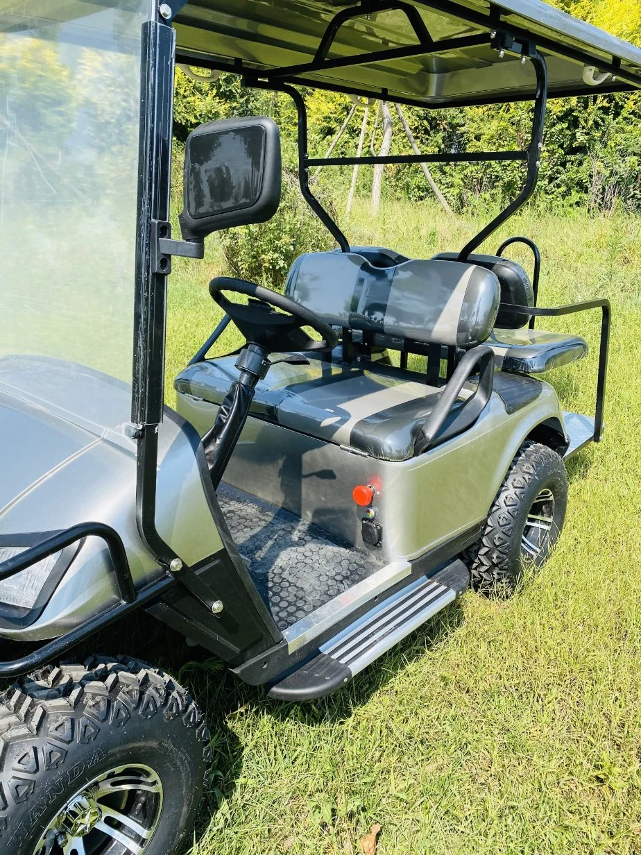 Personal 2 Seats Street Legal Golf Cart with Low Price