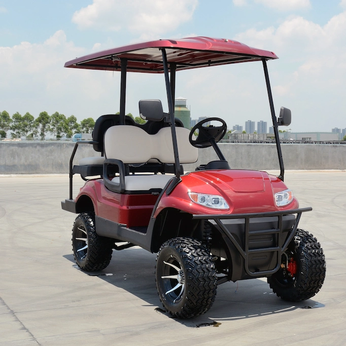 Custom Design Golf Carts Lifed off Road Electric Cart