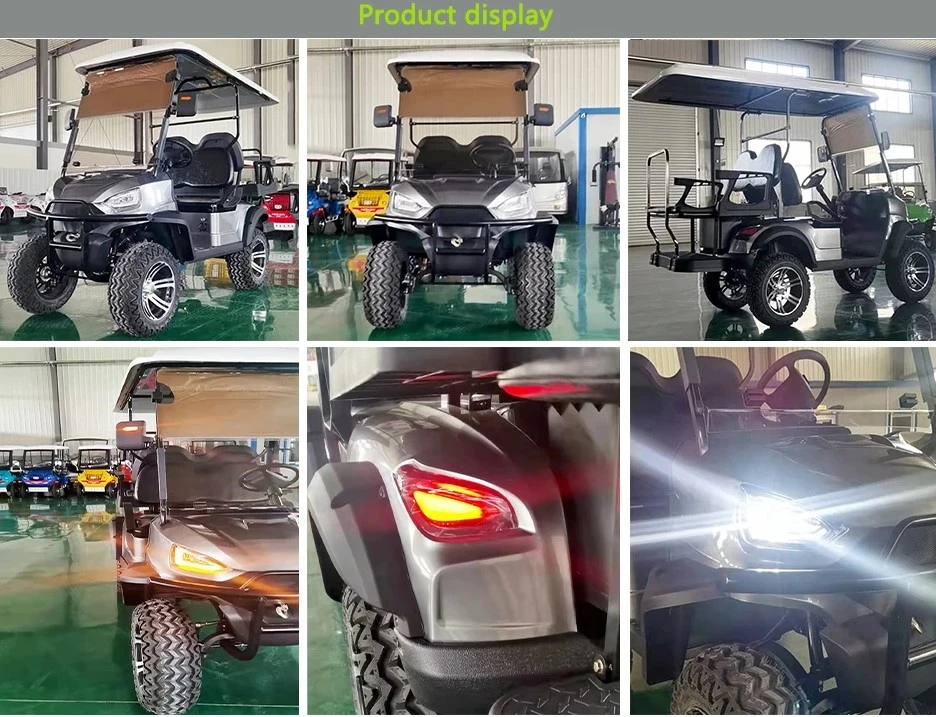 Lithium with Stereoshanghai Dachi 2 Person Classic Golf Cart