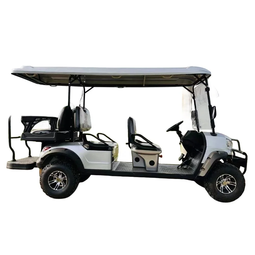 Guangzhou Factory ODM OEM Golf Cart 2 Seater Electric Price Antique Golf Kart off Road Personal Golf Cart