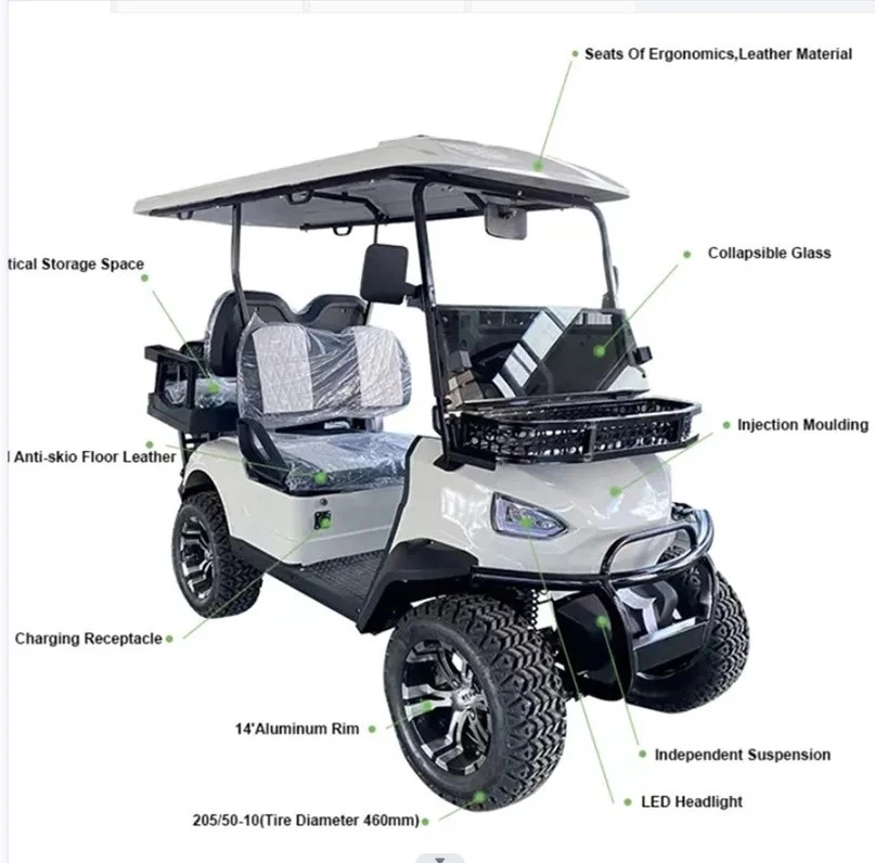 Lithium with Stereoshanghai Dachi 2 Person Classic Golf Cart