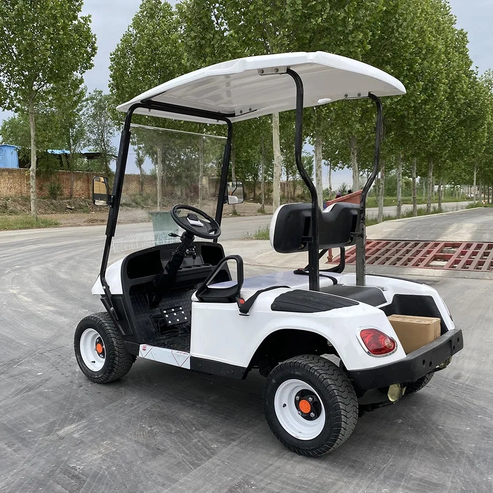 Cheap Price Low Speec 2 Seats Golf Cart Electric Utility Vehicle From China Factory