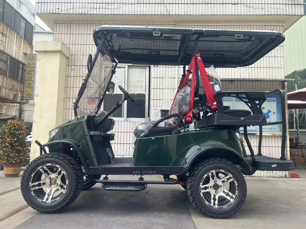 Luxury Full Options Electric Golf Cart Street Legal Hot Sale in USA