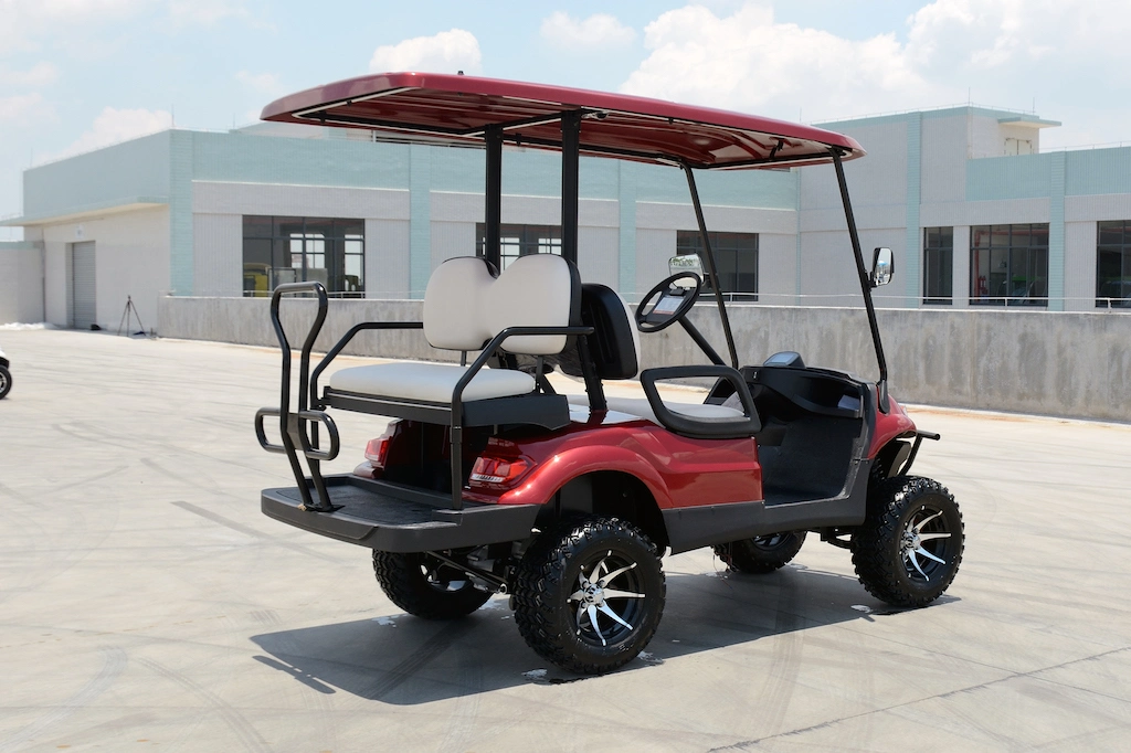 Custom Design Golf Carts Lifed off Road Electric Cart