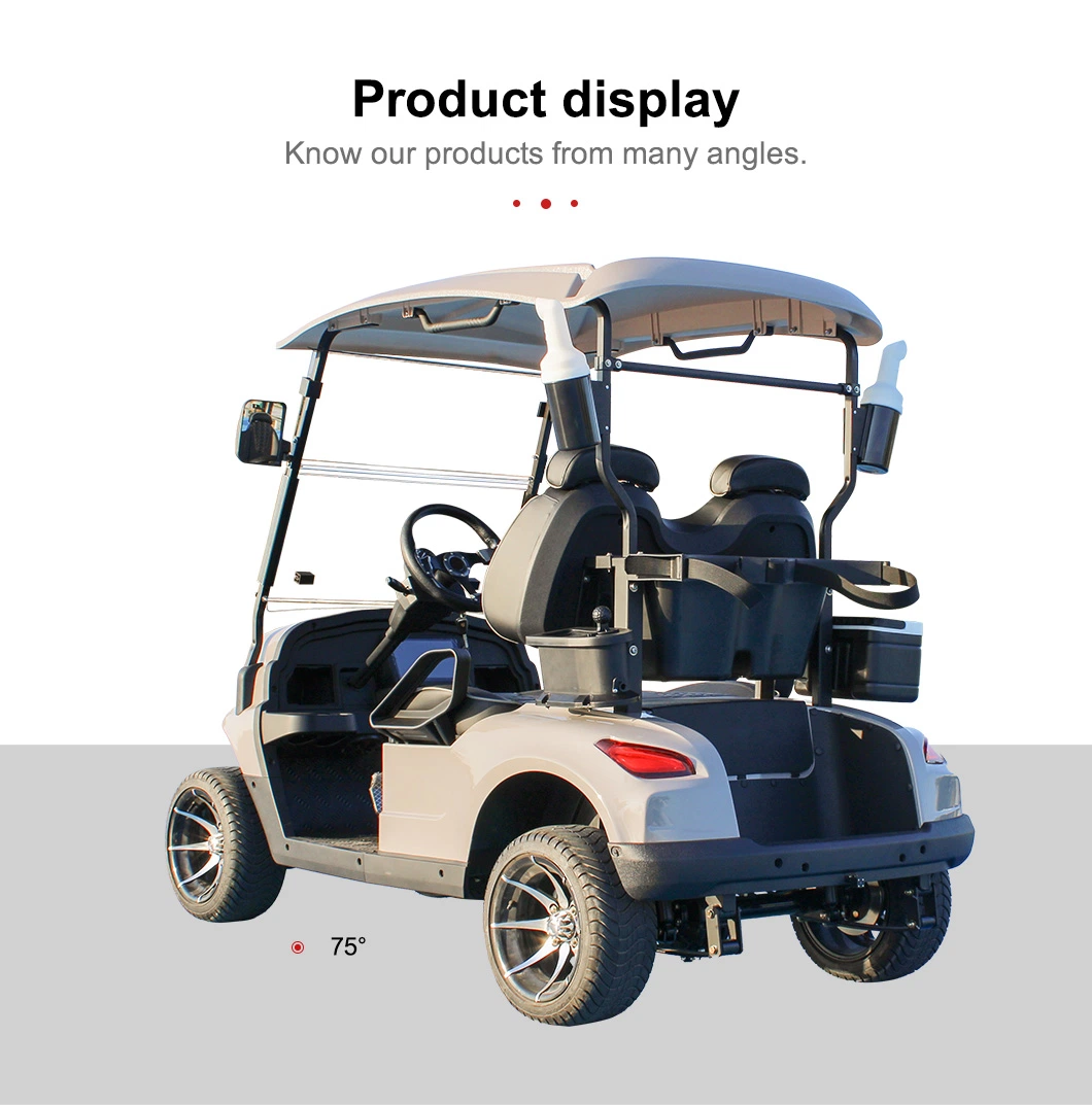 Top Rated off Road Tires Golf Cart off Road