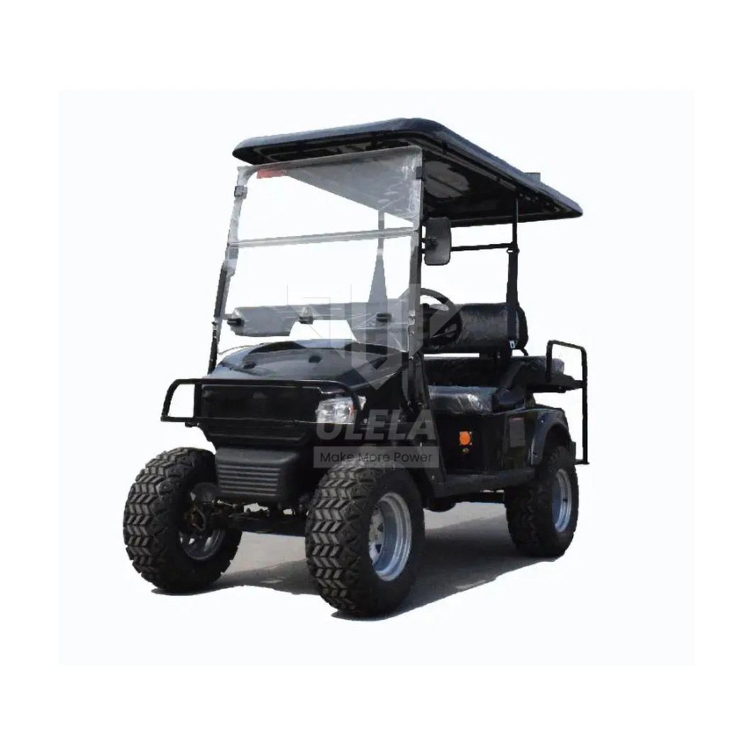 Ulela Aetric Golf Cart Dealers Stepless Speed Change Golf Cart Hunting Golf Car China 4 Seater Electric Utility Vehicle Golf Cart