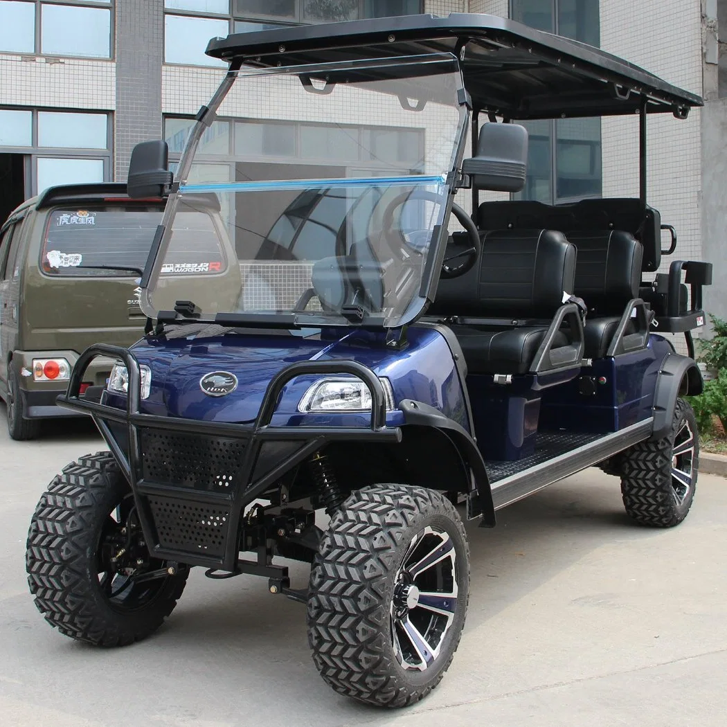 Electric Lifted Car/Cart/Buggy, Sightseeing Car, Utility Vehicle (DEL2042D2Z 4+2-Seater)