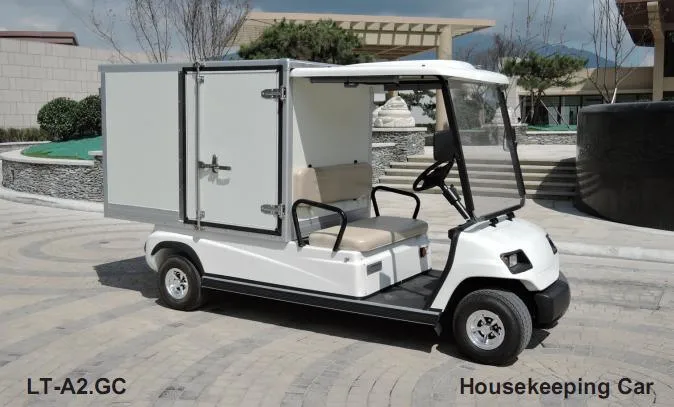 Sale 2 Person Electric Golf Cart