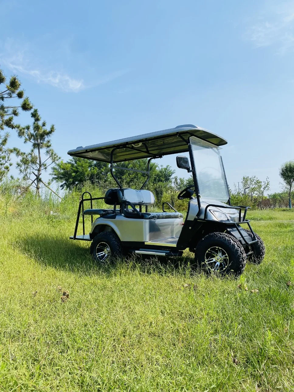 Personal 2 Seats Street Legal Golf Cart with Low Price