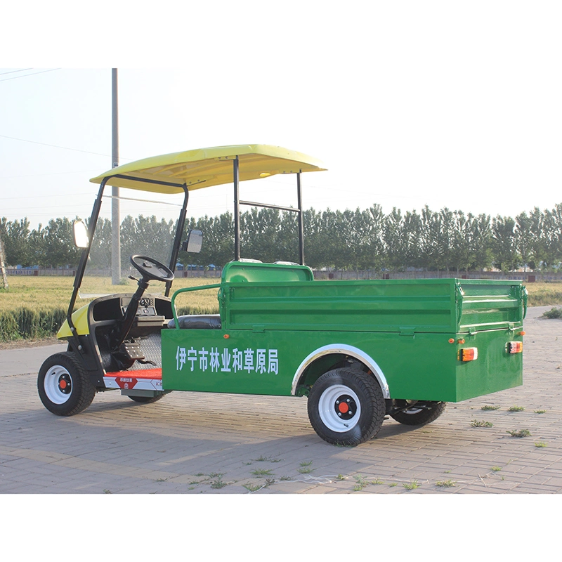 Ready to Ship China Customized 2 Passenger Mini Electric Golf Car, Golf Shuttle, Golf Buggy, Golf Trolley, Golf Utility, Golf Cart with Cargo Bucket CE Approved